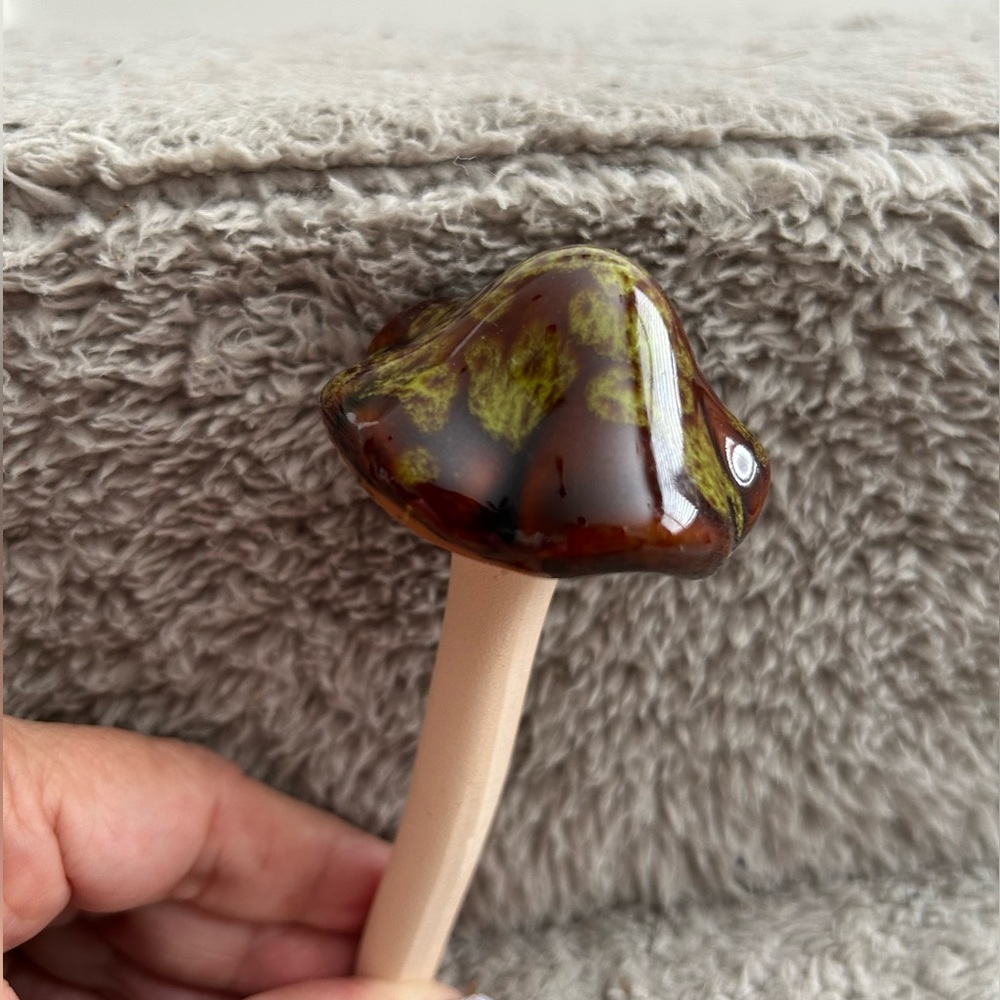 🍄Mushroom ceramic🍄